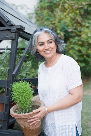 Gros plan d'une femme d'âge mûr tenant une plante en pot Photographie de stock - Premium Libres de Droits, Code: 630-01874262