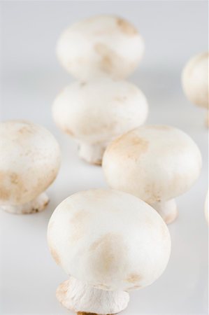 simsearch:630-01875786,k - Close-up of mushrooms Foto de stock - Royalty Free Premium, Número: 630-01875743
