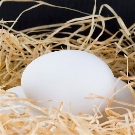 Close-up of eggs in a bird's nest Foto de stock - Sin royalties Premium, Código: 630-01875773