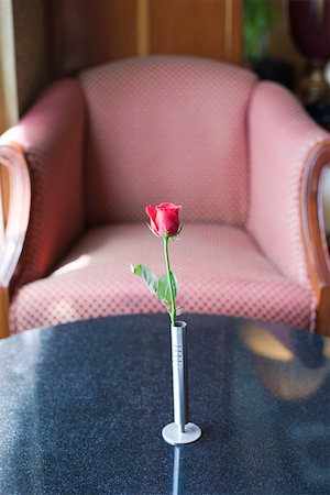 flower lobby - Flower vase on a table Stock Photo - Premium Royalty-Free, Code: 630-01873214