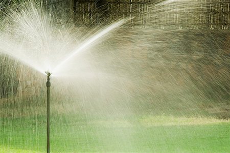 Sprinkler watering in a lawn Foto de stock - Sin royalties Premium, Código: 630-02219878