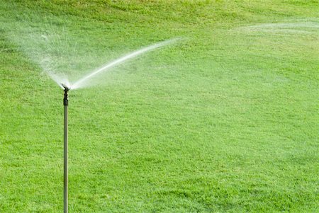 Sprinkler watering in a lawn Stock Photo - Premium Royalty-Free, Code: 630-02220842