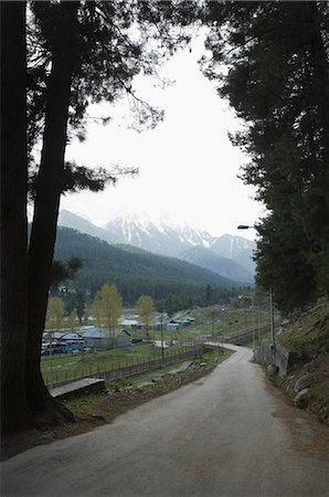 Road passing through a landscape, Pahalgam, Jammu and Kashmir, India Foto de stock - Sin royalties Premium, Código: 630-03479355