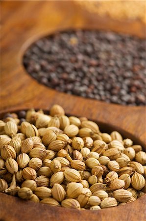 Close-up of coriander seeds in a spice container Stock Photo - Premium Royalty-Free, Code: 630-03480017