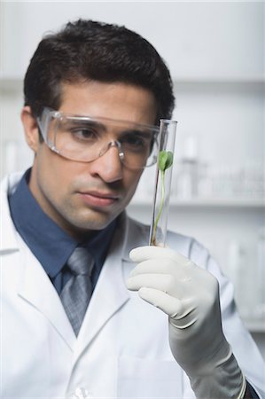 safety glasses - Scientist examining a plant in test tube Stock Photo - Premium Royalty-Free, Code: 630-03480775
