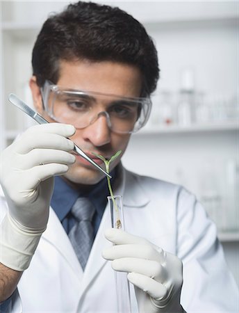 simsearch:649-06164776,k - Scientist examining a plant in test tube Foto de stock - Sin royalties Premium, Código: 630-03480776