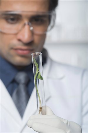 Scientist examining a plant in test tube Stock Photo - Premium Royalty-Free, Code: 630-03480778