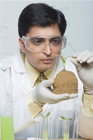 Scientist examining a plant Stock Photo - Premium Royalty-Free, Code: 630-03480966
