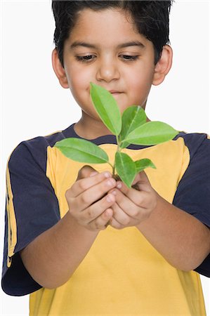 plantation - Close-up of a boy holding a plant Foto de stock - Sin royalties Premium, Código: 630-03481274