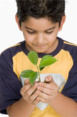 Close-up of a boy holding a plant Stock Photo - Premium Royalty-Free, Code: 630-03481278