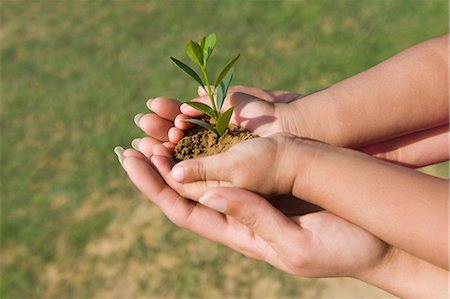 plantation - Woman with her daughter holding a plant Foto de stock - Sin royalties Premium, Código: 630-03483078