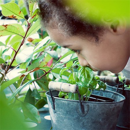 Little girl smelling basil plant Stock Photo - Premium Royalty-Free, Code: 632-05401015