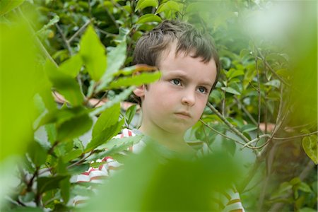 simsearch:632-03424260,k - Boy in foliage, looking up in thought Stock Photo - Premium Royalty-Free, Code: 632-05401148