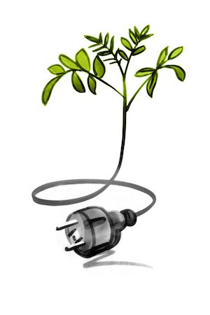 environment drawing pictures - Jeune arbre arbre connecté avec un câble électrique et la fiche Photographie de stock - Premium Libres de Droits, Code: 632-05554246