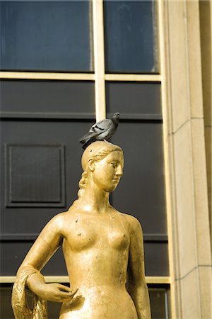 simsearch:841-07081202,k - Pigeon perché sur la statue dorée Photographie de stock - Premium Libres de Droits, Code: 632-05553398