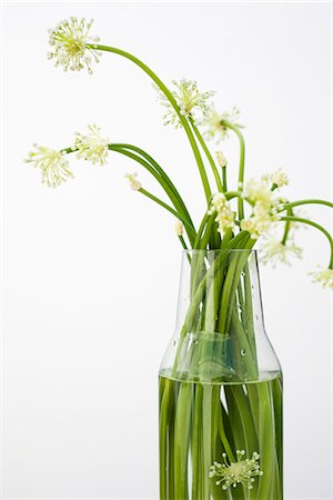 florero (jarrón de flores) - Garlic flowers, used as cooking ingredient Foto de stock - Sin royalties Premium, Código: 632-05604273