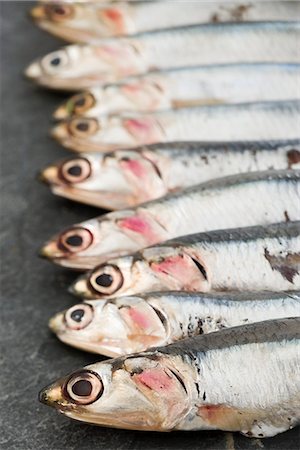 Raw anchovies Foto de stock - Sin royalties Premium, Código: 632-05604437