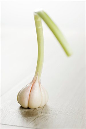 New garlic Foto de stock - Sin royalties Premium, Código: 632-05604472