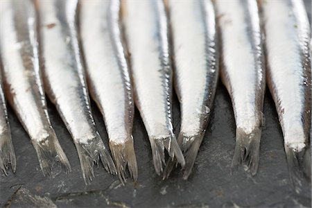 simsearch:696-03395748,k - Raw anchovies, cropped Foto de stock - Sin royalties Premium, Código: 632-05603788