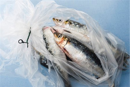 Fresh raw sardines in plastic bag Foto de stock - Royalty Free Premium, Número: 632-05603855