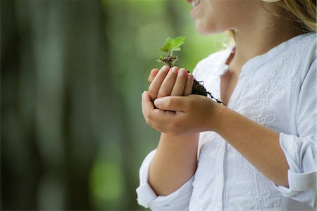 Girl holding seedling, cropped Stock Photo - Premium Royalty-Free, Code: 632-05759931