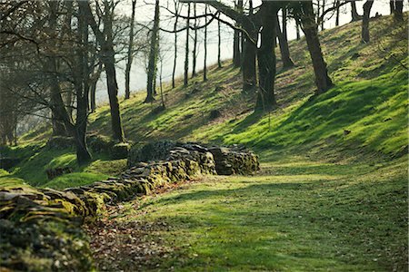 Old stone wall running through prairie, Poul-Fetan, Brittany, France Foto de stock - Sin royalties Premium, Código: 632-05760404