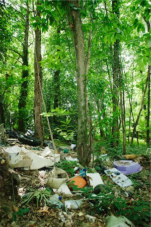 Garbage dumped in woods Foto de stock - Sin royalties Premium, Código: 632-05760520