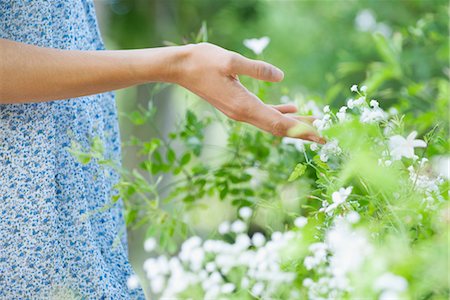 Main de la femme touchant des fleurs sauvages, moyenne section Photographie de stock - Premium Libres de Droits, Code: 632-05817056