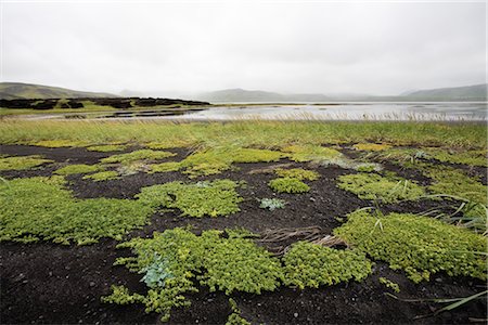 Dyrhólaey péninsule, Islande Photographie de stock - Premium Libres de Droits, Code: 632-05845339