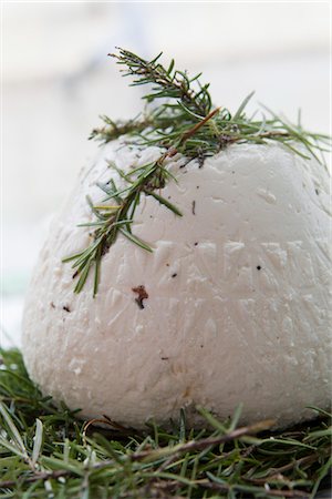 rosemary sprig - Ricotta cheese with rosemary Stock Photo - Premium Royalty-Free, Code: 632-05991661