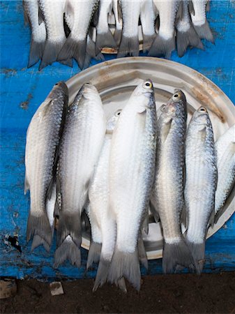 simsearch:632-05845010,k - Fresh raw fish Foto de stock - Sin royalties Premium, Código: 632-05991890