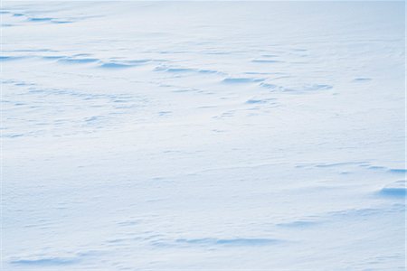 Snow-covered field Stock Photo - Premium Royalty-Free, Code: 632-06029505