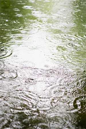 Raindrops on surface of water Foto de stock - Sin royalties Premium, Código: 632-06030079