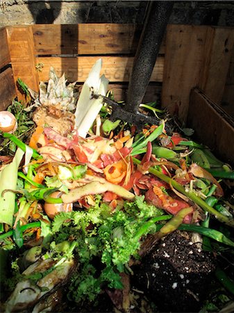 peeling vegetable - Compost Stock Photo - Premium Royalty-Free, Code: 632-06030084