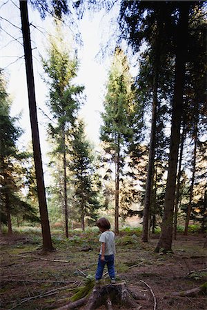 simsearch:632-03652276,k - Junge stehend auf Baumstumpf im Wald Stockbilder - Premium RF Lizenzfrei, Bildnummer: 632-06118520