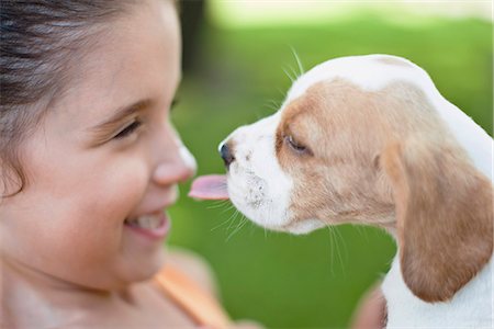 simsearch:632-06118577,k - Chiots Beagle léchant le nez de la jeune fille Photographie de stock - Premium Libres de Droits, Code: 632-06118784