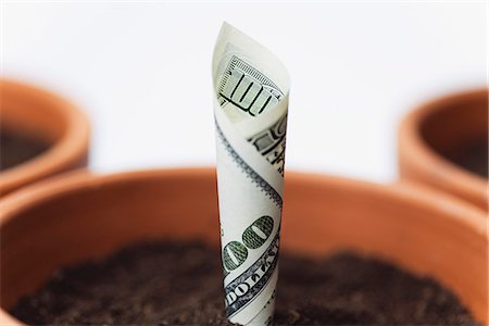 dollar - One-hundred dollar bill planted in flower pot Stock Photo - Premium Royalty-Free, Code: 632-06317071