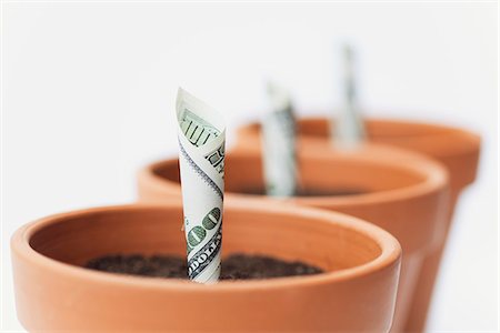 flowerpot investment - One-hundred dollar bills planted in flower pots Stock Photo - Premium Royalty-Free, Code: 632-06317139