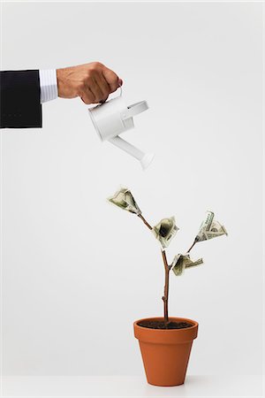 dinero - Businessman watering potted tree with hundred dollar bills growing on it Foto de stock - Sin royalties Premium, Código: 632-06317145