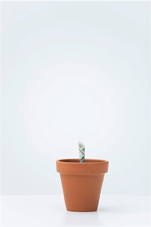 One-hundred dollar bill planted in flower pot Foto de stock - Sin royalties Premium, Código: 632-06317333