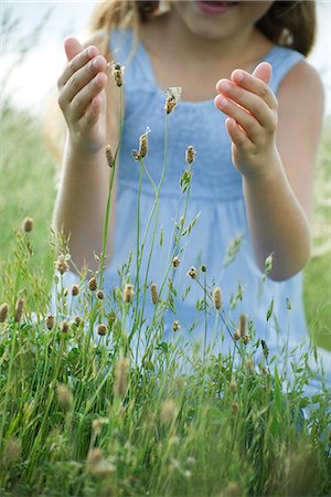 fléole des prés - Papillon sur les fleurs sauvages, fille aux mains d'essayer d'attraper Photographie de stock - Premium Libres de Droits, Code: 632-06317565