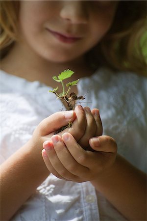 ecologic - Girl holding seedling, cropped Foto de stock - Sin royalties Premium, Código: 632-06317734