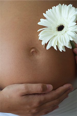 Woman holding flower beside pregnant belly, cropped Foto de stock - Sin royalties Premium, Código: 632-06317814