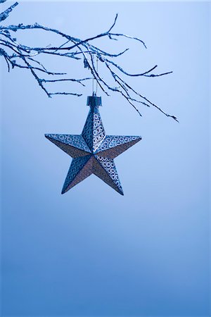 décoration de l'arbre de noël - Ornement de Noël étoile suspendue à une branche Photographie de stock - Premium Libres de Droits, Code: 632-06354004