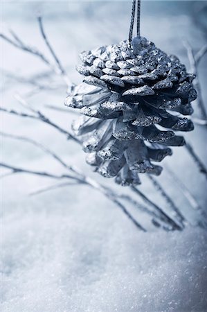 Cône de pin ornement de Noël Photographie de stock - Premium Libres de Droits, Code: 632-06354105