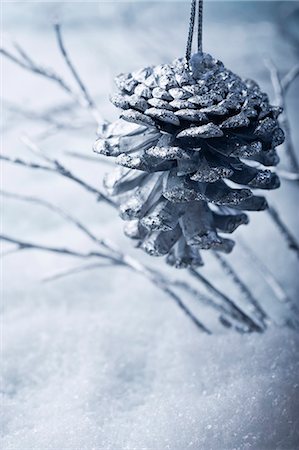 Pine cone Christmas ornament Foto de stock - Sin royalties Premium, Código: 632-06354105