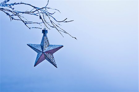 simsearch:632-06354232,k - Star-shaped Christmas ornament hanging from branch Stock Photo - Premium Royalty-Free, Code: 632-06354331