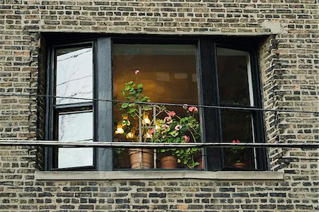 Open window with pots of geraniums Stock Photo - Premium Royalty-Free, Code: 632-06404750