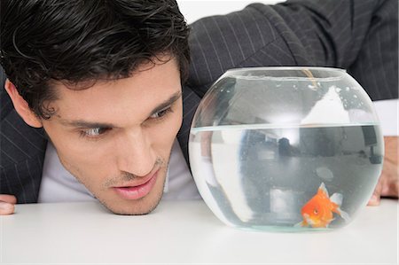 simsearch:632-06779245,k - Businessman looking at goldfish in fishbowl Foto de stock - Sin royalties Premium, Código: 632-06779109