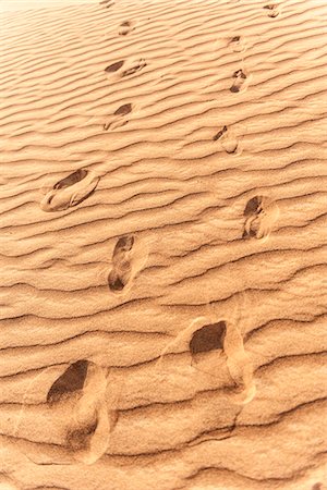 simsearch:6102-08384298,k - Footprints in rippled sand Stock Photo - Premium Royalty-Free, Code: 632-07495045